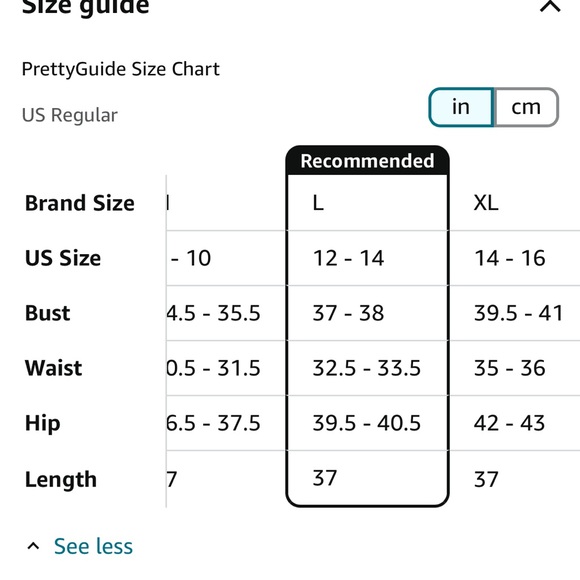 1920 themed flapper dress. Fringe bottom - Picture 7 of 7